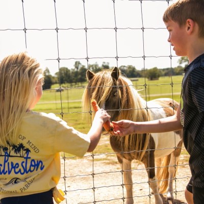 a man and a woman standing next to a fence
