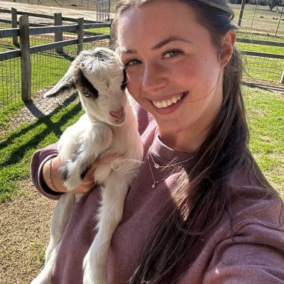 a person holding a dog