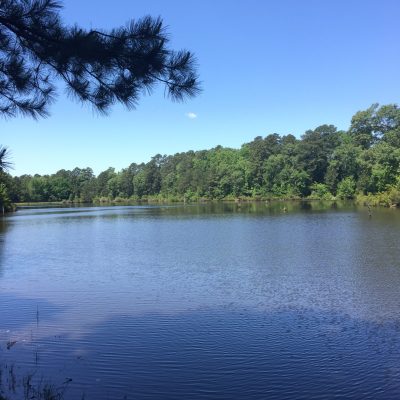 a boat floating along a river next to a body of water