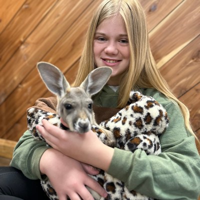 a person holding a dog