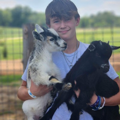 a person holding a dog