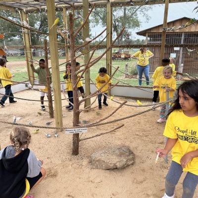 a group of people sitting at a playground