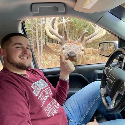 a person sitting in a car