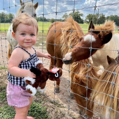 a little girl standing next to a fence petting a horse