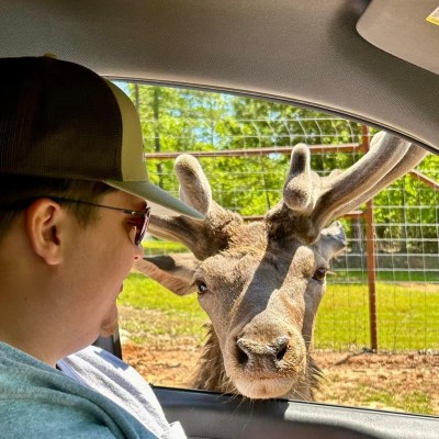 a person standing in front of a fence