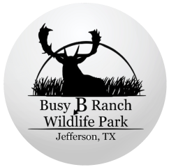 Busy B Ranch Wildlife Park