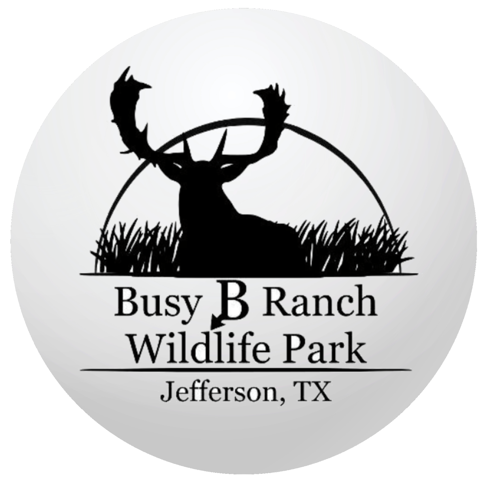 Plan your visit to busy b ranch wildlife park