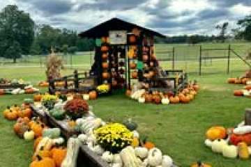 a group of people sitting at a fruit stand