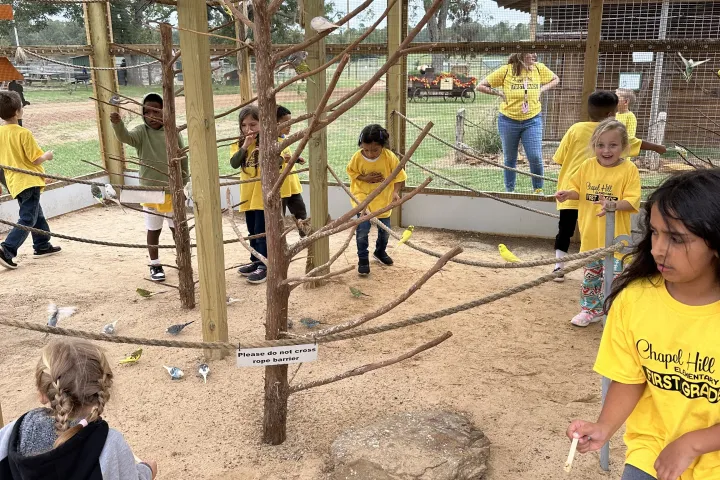 a group of people sitting at a playground