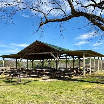 a large green field with trees in the background