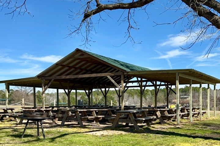 a large green field with trees in the background
