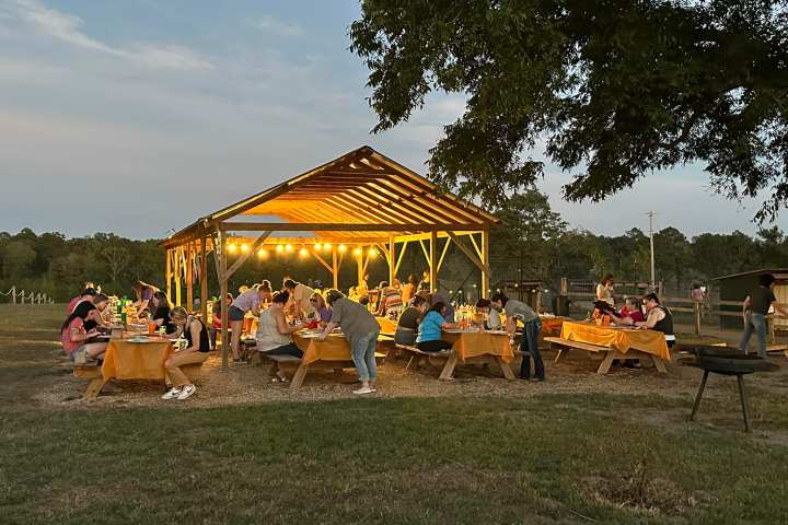 a group of people sitting at a park