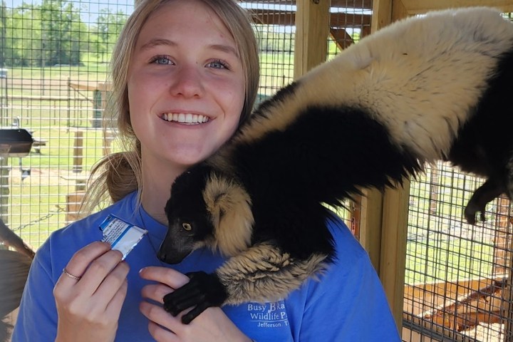 Person smiling with a lemur on their shoulder, holding a snack.