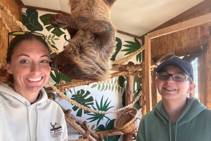 Two people smiling with a sloth hanging upside down between them.