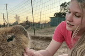 Woman in pink shirt petting a capybara near a fence at sunset.