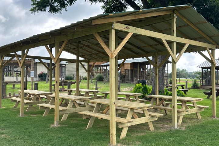Wooden pavilion with picnic tables on grass, under a large tree.